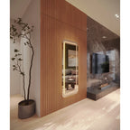 Espelho Corpo inteiro Com Led - Queima de estoque